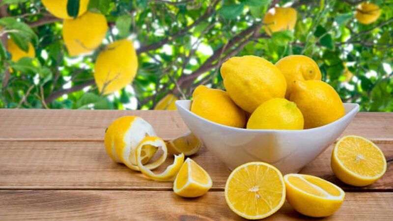 make-your-own-limoncello