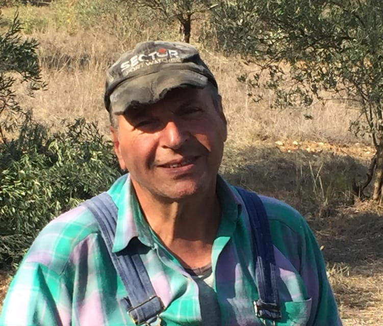 make-your-own-soap-and-taste-traditional-greek-recipes