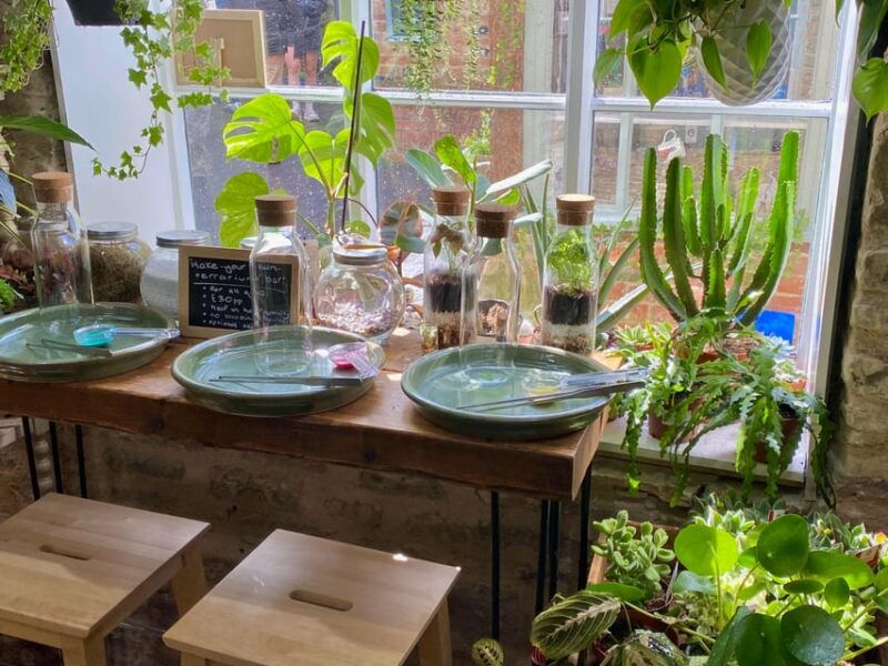 make-your-own-terrarium-in-a-houseplant-paradise