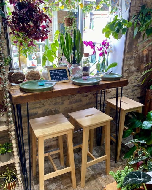 make-your-own-terrarium-in-a-houseplant-paradise