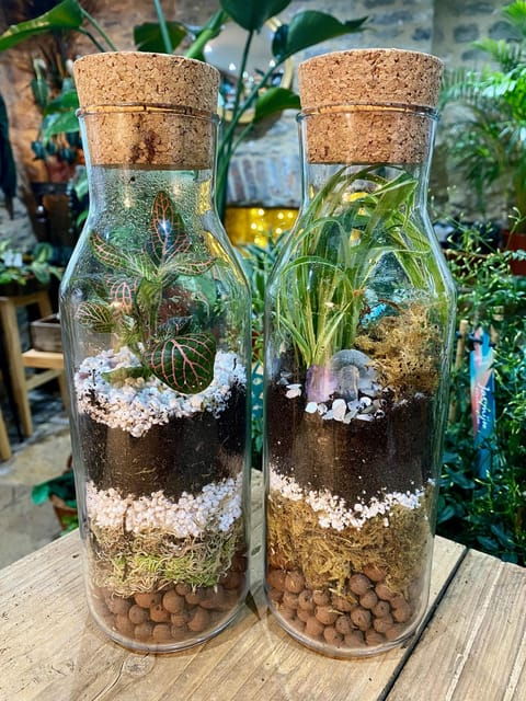 make-your-own-terrarium-in-a-houseplant-paradise