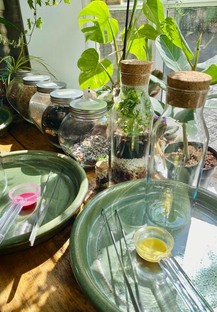 make-your-own-terrarium-in-a-houseplant-paradise