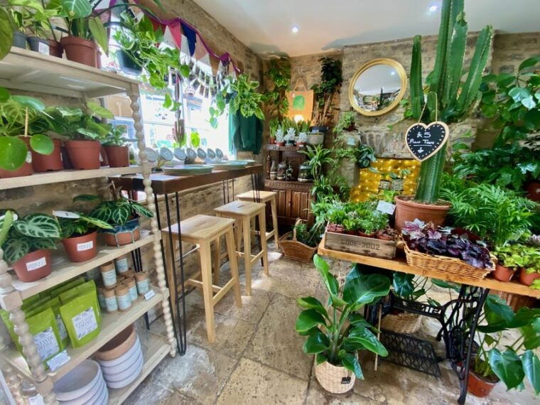 make-your-own-terrarium-in-a-houseplant-paradise