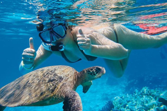 makena-wailea-explorer-trip-in-maui