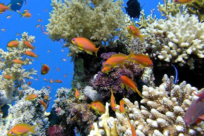 makena-wailea-explorer-trip-in-maui