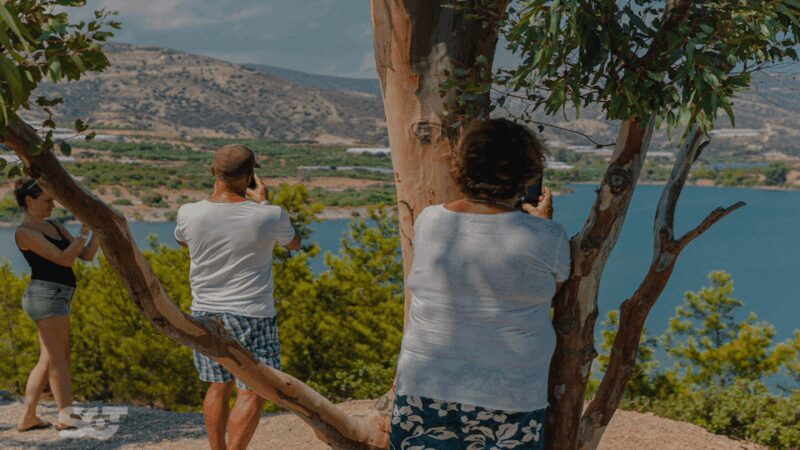 Makrigialos-Ierapetra: Hidden Villages & Olive Oil Farm Tour - A Closer Look at the Tour Experience