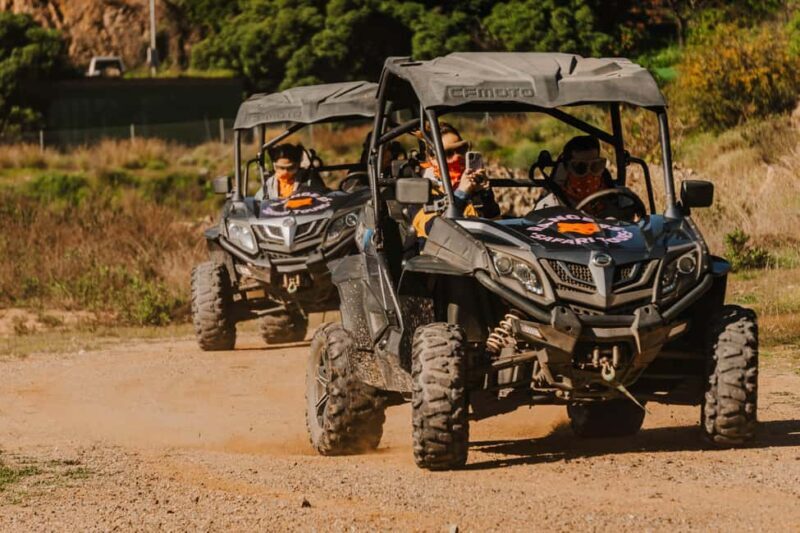 Málaga: 1-Hour Off-Road Buggy Adventure in Mijas - Key Points