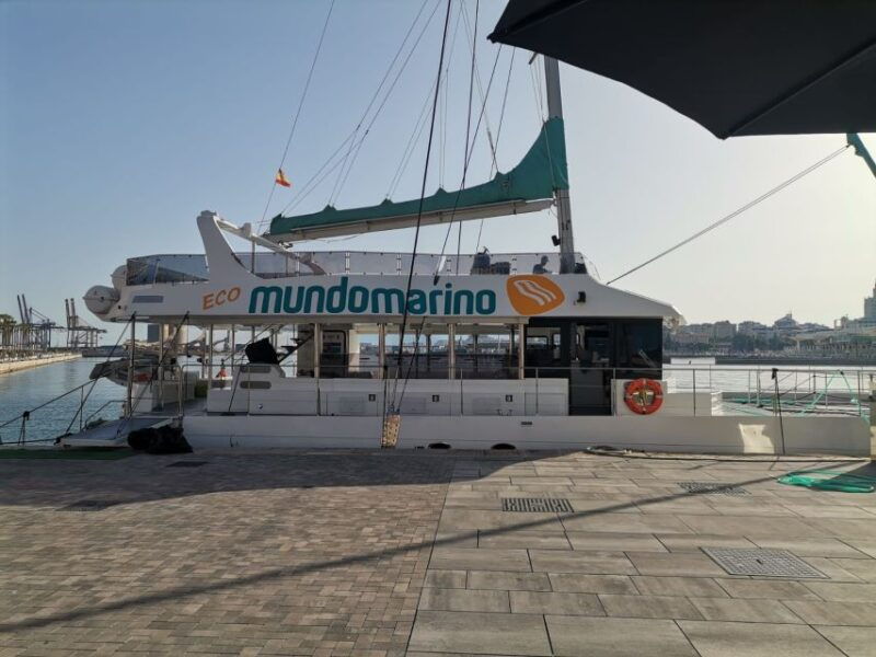 malaga-a-sea-of-stars-nighttime-stargazing-catamaran-tour