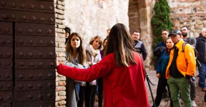 malaga-alcazaba-and-roman-theatre-guided-tour-with-entry