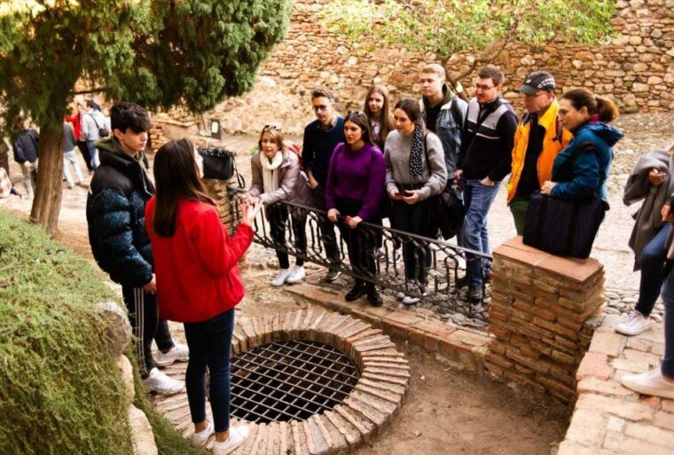 malaga-alcazaba-and-roman-theatre-guided-tour-with-entry