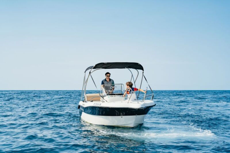 malaga-boat-rental-without-a-license-for-dolphin-watching