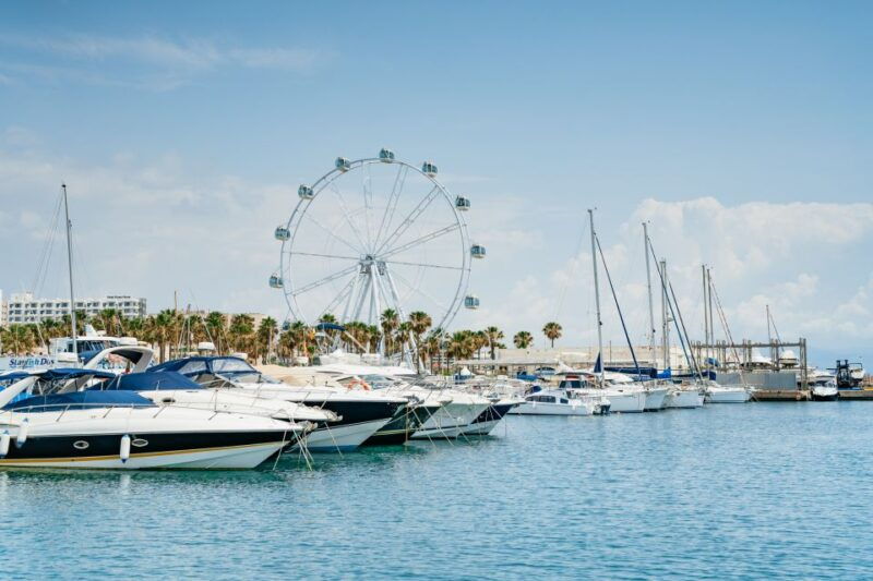 malaga-boat-rental-without-a-license-for-dolphin-watching