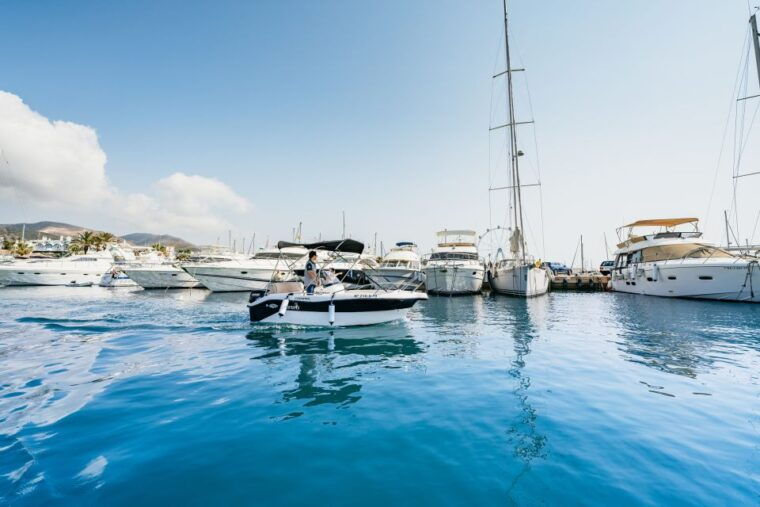 malaga-boat-rental-without-a-license-for-dolphin-watching