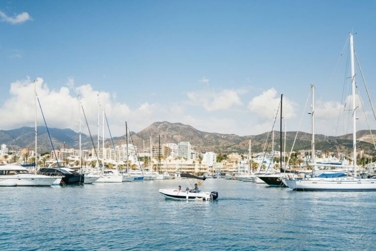 malaga-boat-rental-without-a-license-for-dolphin-watching