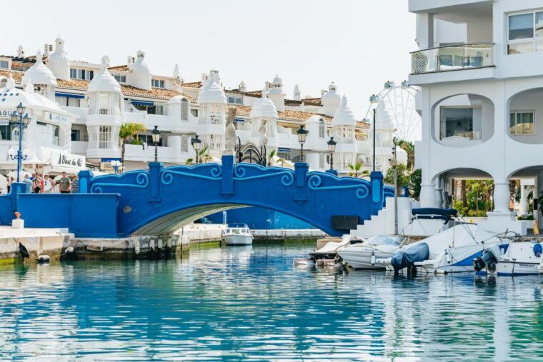 malaga-boat-rental-without-a-license-for-dolphin-watching