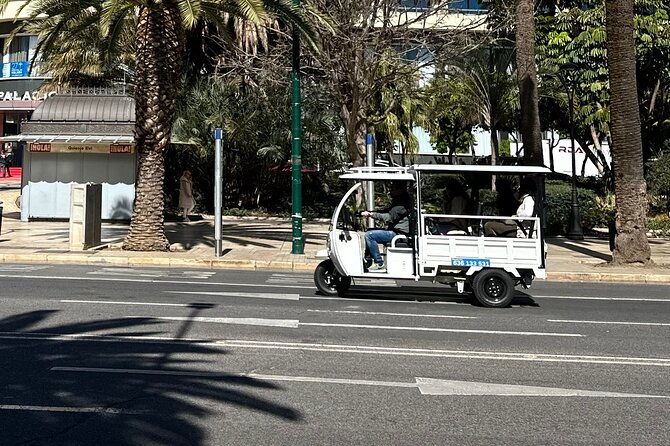 malaga-by-tuk-tuk-i-1-or-2-hours-private-city-tour-2