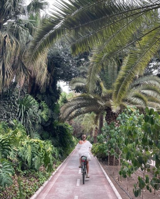 Malaga: Castle Hill and Fisherman Village E-Bike Tour - Why This Tour is Worth Considering