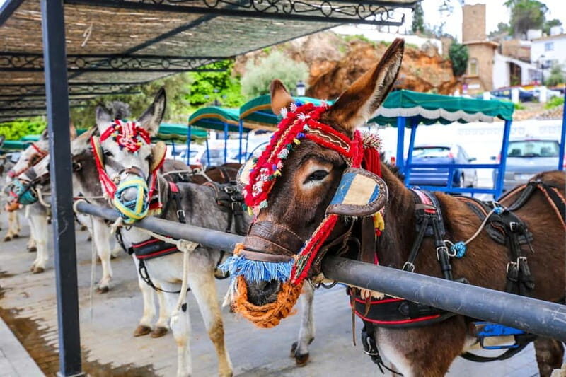 Malaga, Catamaran ride and Mijas Pueblo - Frequently Asked Questions