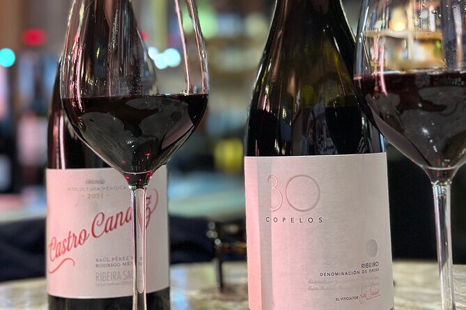 Malaga City Wine Tour - Who Should Consider This Tour?