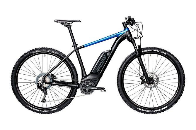malaga-e-mtb-tour-botanical-garden-natural-park-and-port-of-malaga