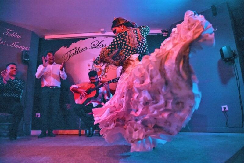 malaga-flamenco-and-city-highlights-guided-tour