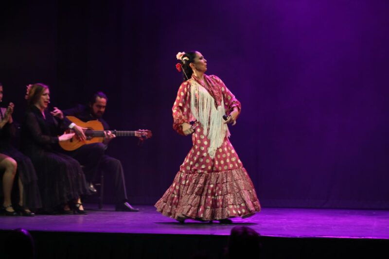 malaga-flamenco-theater-malaga-live-flamenco-show
