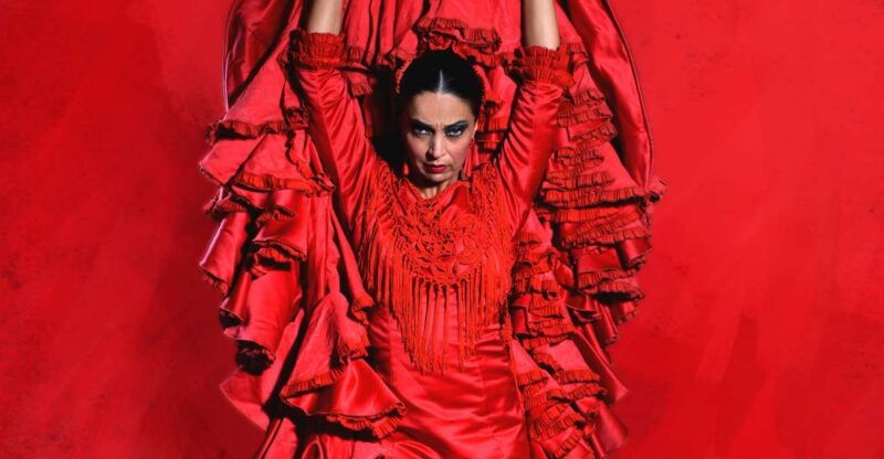 malaga-flamenco-theater-malaga-live-flamenco-show