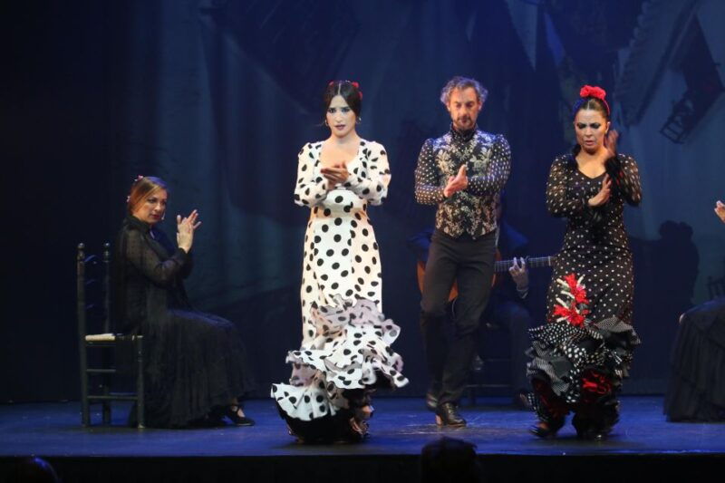 malaga-flamenco-theater-malaga-live-flamenco-show