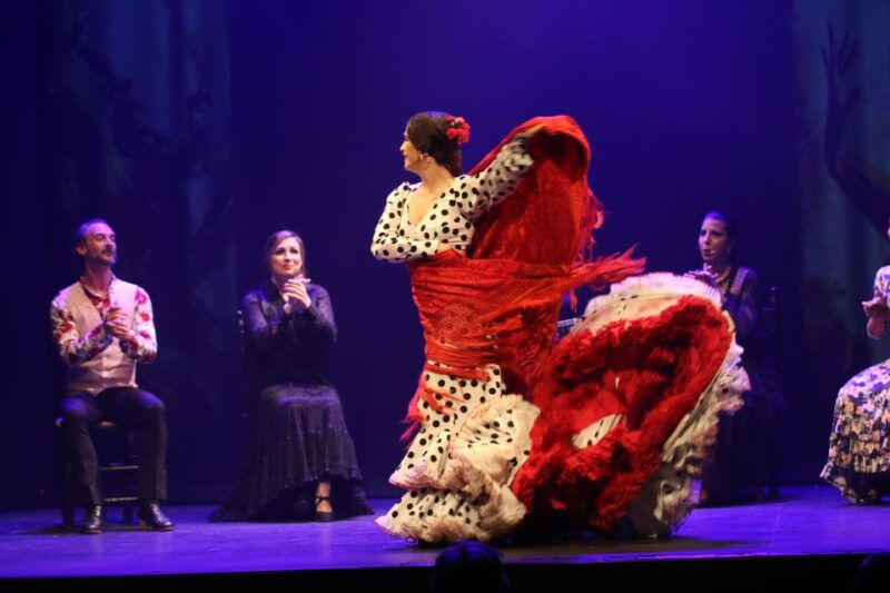 malaga-flamenco-theater-malaga-live-flamenco-show
