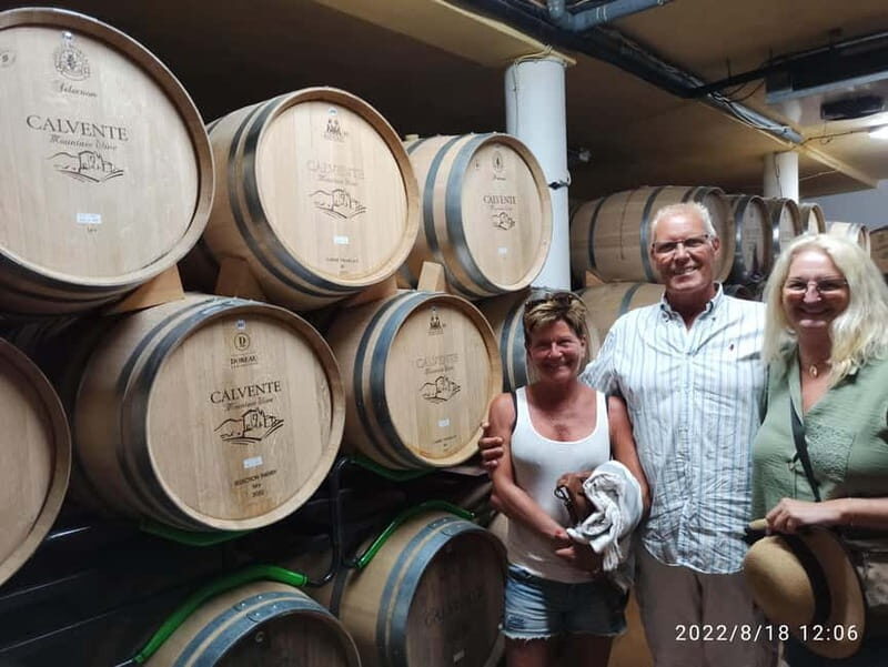 Malaga & Granada: Wine Tasting and Tapas with Resort Pickup - Key Points