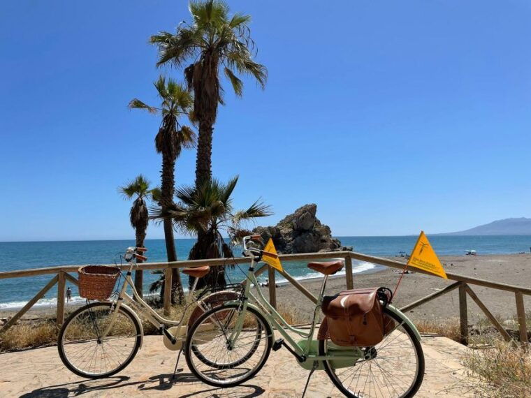 malaga-guided-bike-tour