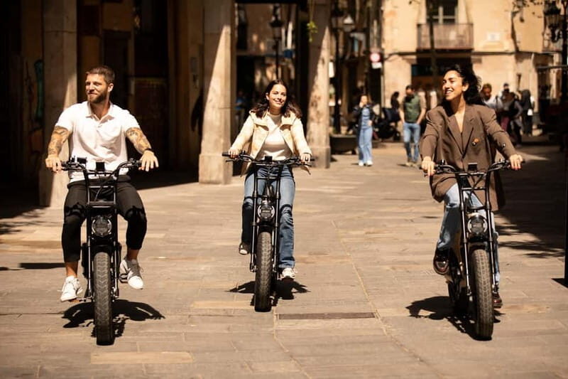 Malaga: Guided E-Fatbike Tour with Panoramic Views - Practical Details and What to Expect