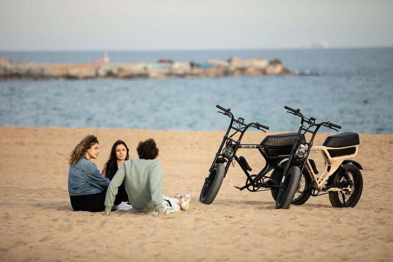 Malaga: Guided E-Fatbike Tour with Panoramic Views - The Sum Up