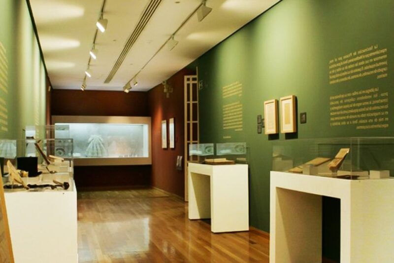 malaga-guided-tour-of-picassos-birthplace-museum
