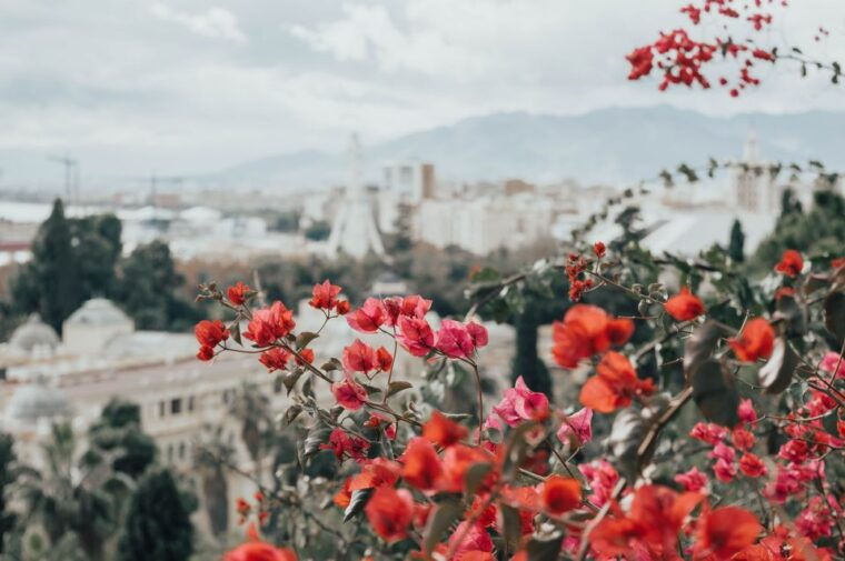 malaga-highlights-old-town-viewpoint-walking-tour