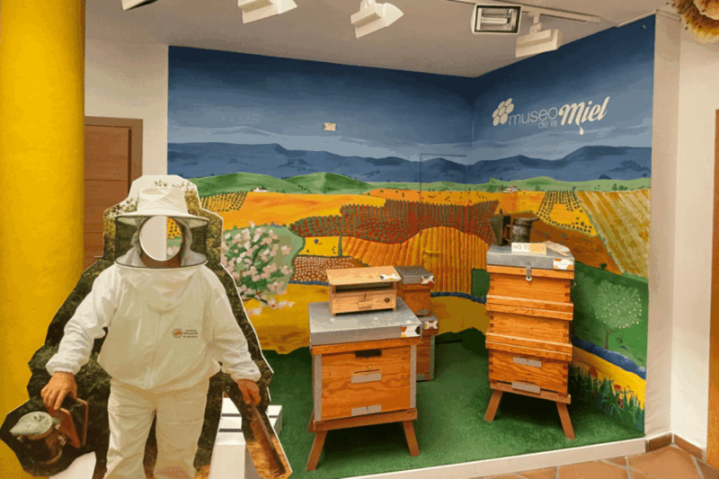 malaga-honey-museum-entry-ticket