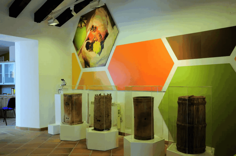 malaga-honey-museum-entry-ticket
