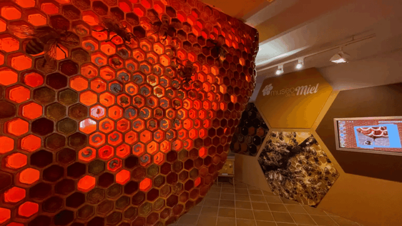 malaga-honey-museum-entry-ticket