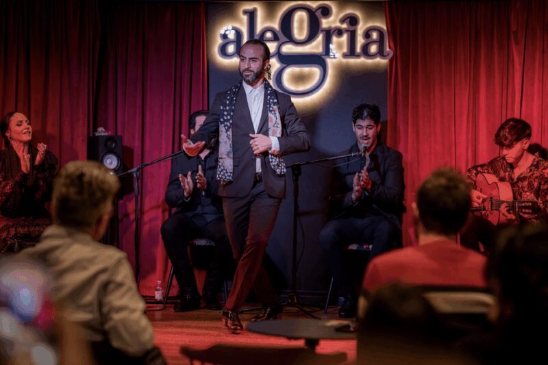 Málaga: Live Flamenco Show at Flamenco Alegría - Introduction