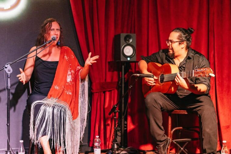 malaga-live-flamenco-show-at-flamenco-alegria