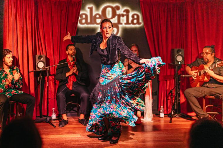 malaga-live-flamenco-show-at-flamenco-alegria