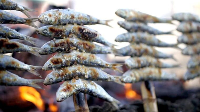 malaga-paella-and-tapas-tour-with-the-best-flamenco-show