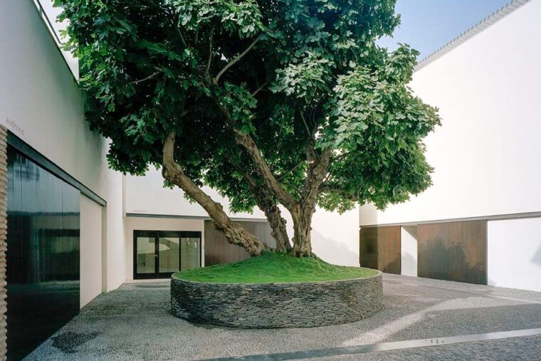 malaga-picasso-museum-malaga-entry-ticket