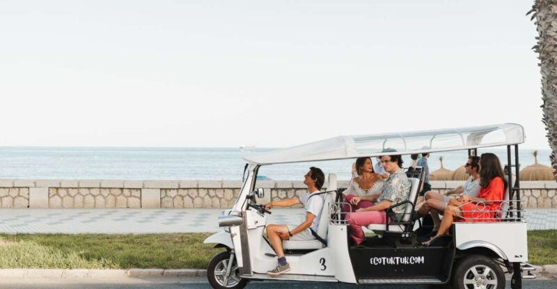 malaga-private-city-tour-by-eco-tuk-tuk