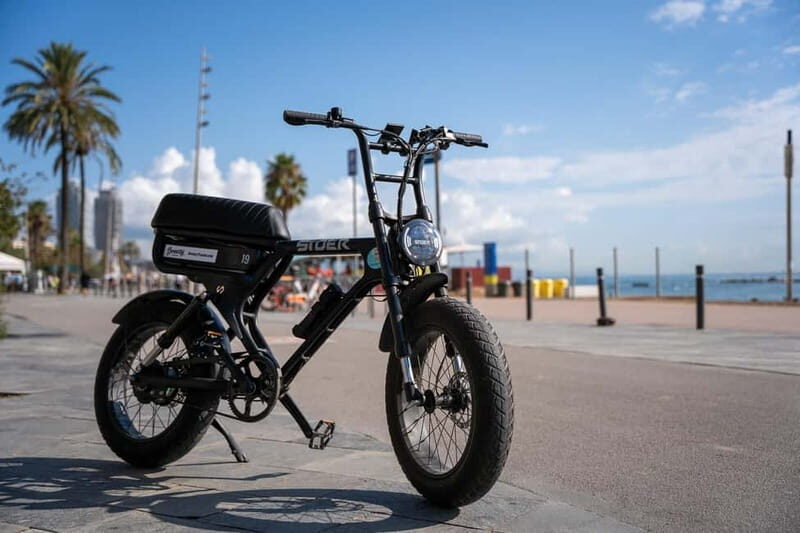 Málaga: Private Electric Fatbike Tour with Guide - The Ride Experience: From Coast to City