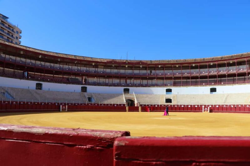 Malaga: Private Guided Tour of the Bullring and Immersive Museum - Who This Tour Suits Best