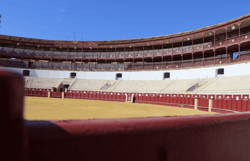malaga-private-guided-visit-plaza-de-toros-exhibition-center