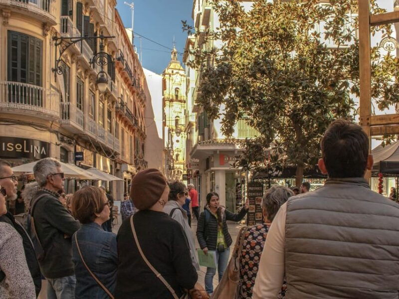 malaga-private-guided-walking-tour-in-the-historic-center