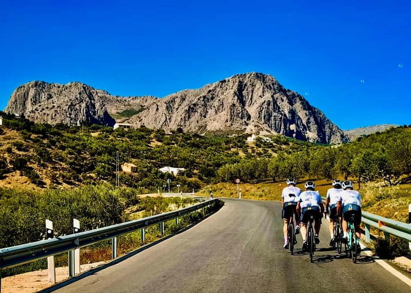 Málaga: Road Bike Tour with Guide and Bike Rental - The Route and Itinerary: What to Expect