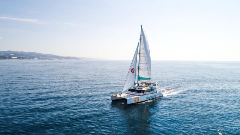 malaga-sailing-catamaran-with-swimming-and-paella-lunch